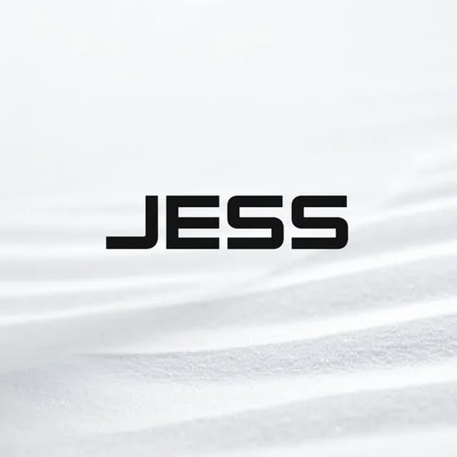 Identidade visual da JESS em publicação do Instagram